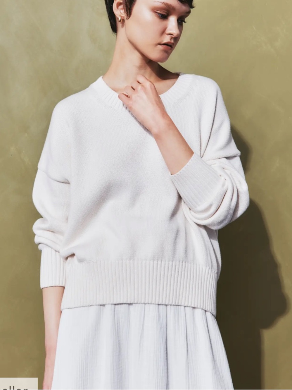 Quince 100% Organic Cotton Boyfriend Crew Sweater